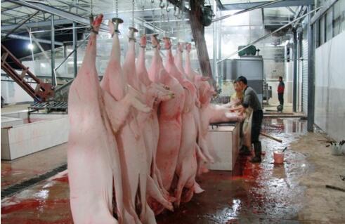 屠宰廢水處理方法有哪些？屠宰廢水處理設(shè)備價格？-01