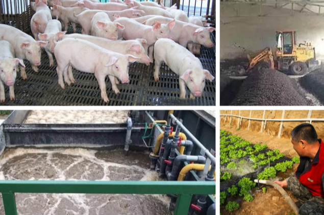 養(yǎng)殖污水處理一體設(shè)備多少錢？養(yǎng)殖污水處理方法