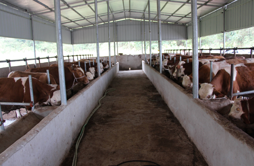 養(yǎng)殖場(chǎng)污水處理方法，養(yǎng)殖污水處理設(shè)備的用途講解02