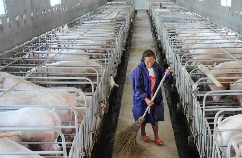 畜牧污水處理設(shè)備哪家好，養(yǎng)殖污水處理設(shè)備哪家好