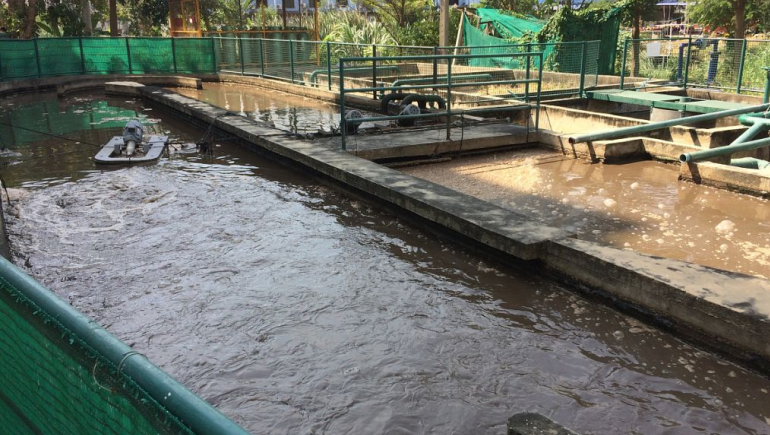 食品加工污水處理流程有哪些？如何更好的處理食品廢水？