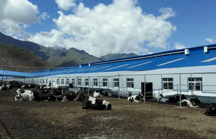 100多頭豬養(yǎng)殖廢水處理方法，用這兩種方法投入低、輕松達標！